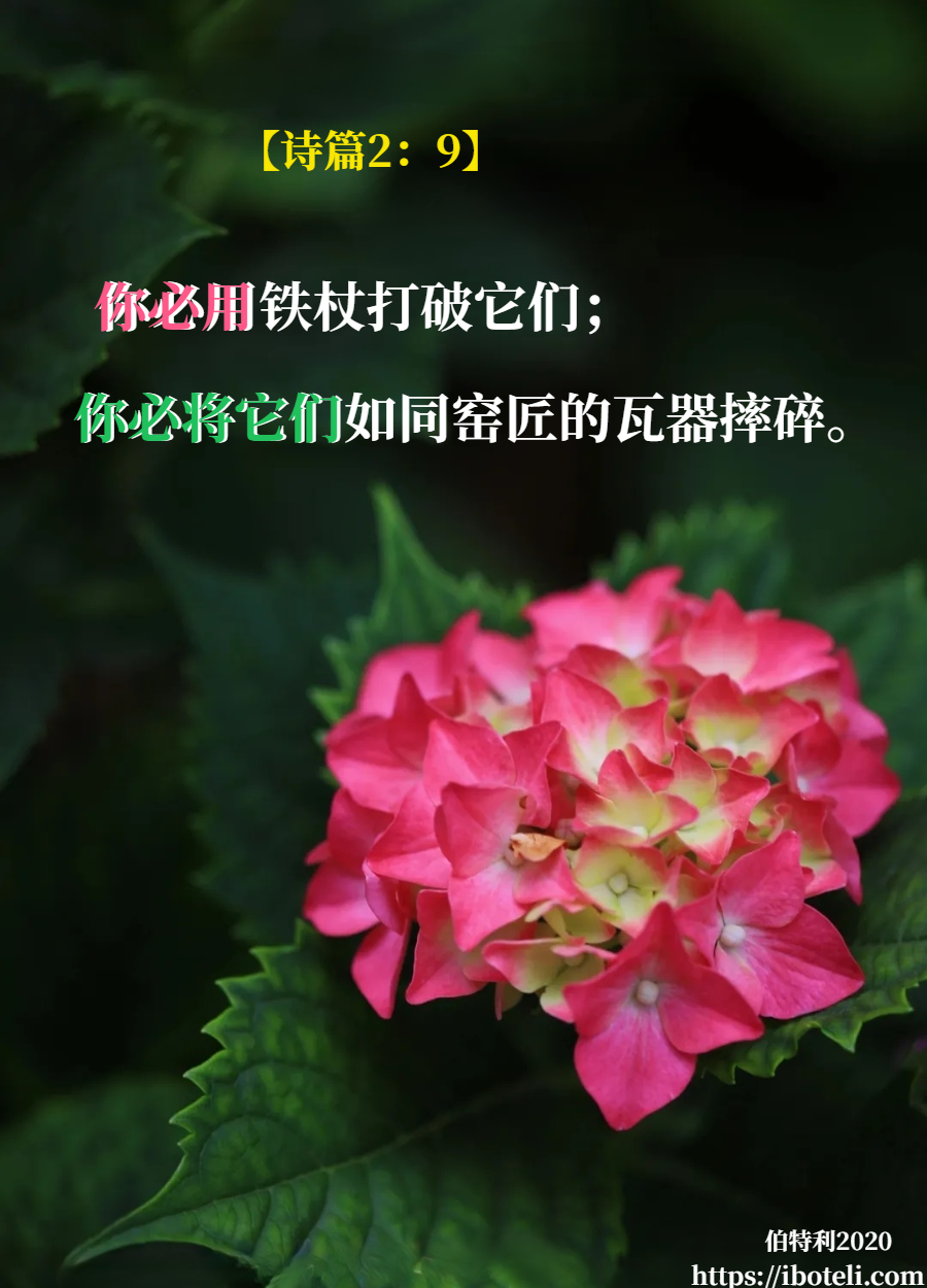领会天父的心意（219） 困难，是机会，不是拦阻！