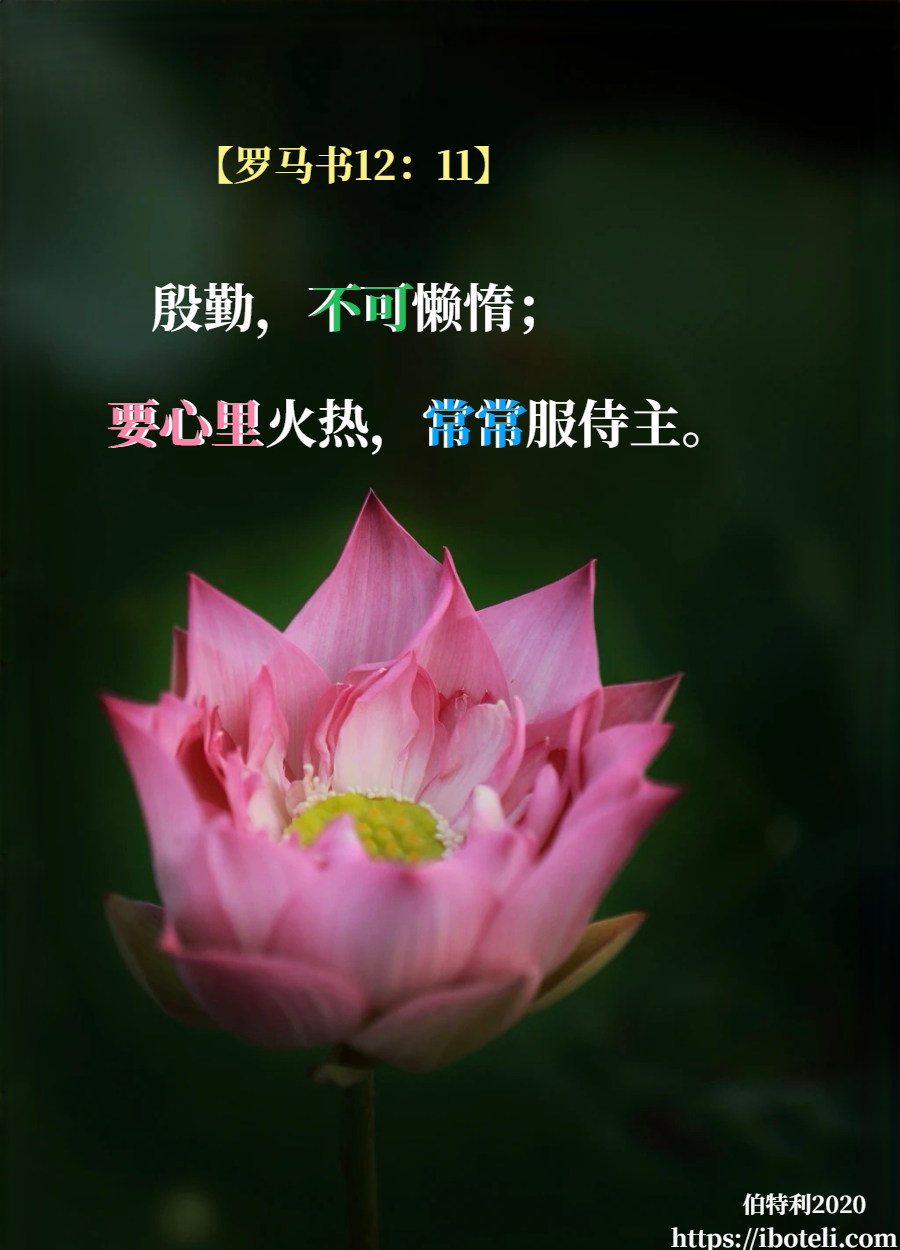 领会天父的心意（220） 殷勤人必得丰裕