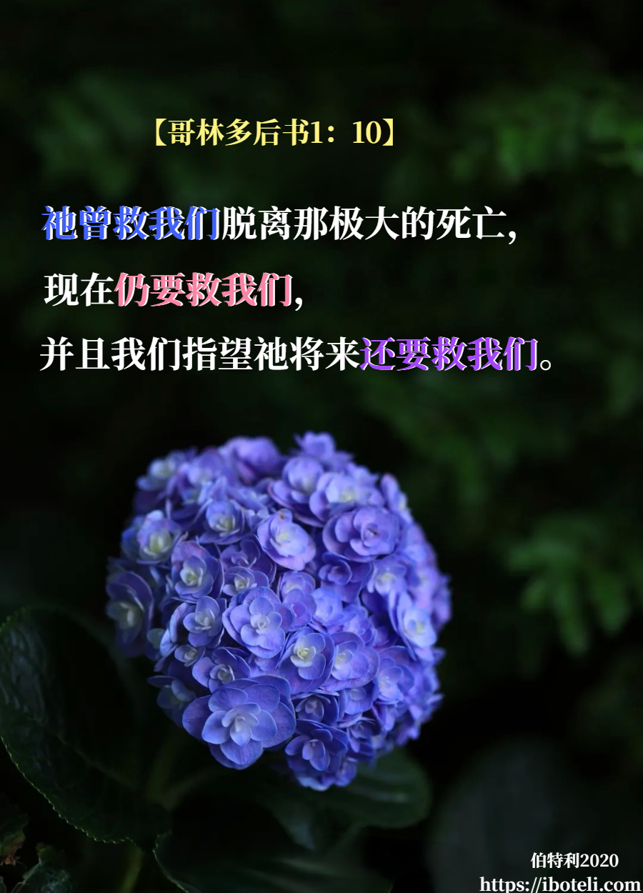 领会天父的心意（221） 真正的信仰