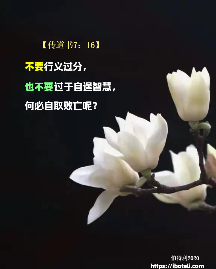 领会天父的心意（222） 人的怒气不能成就神的义