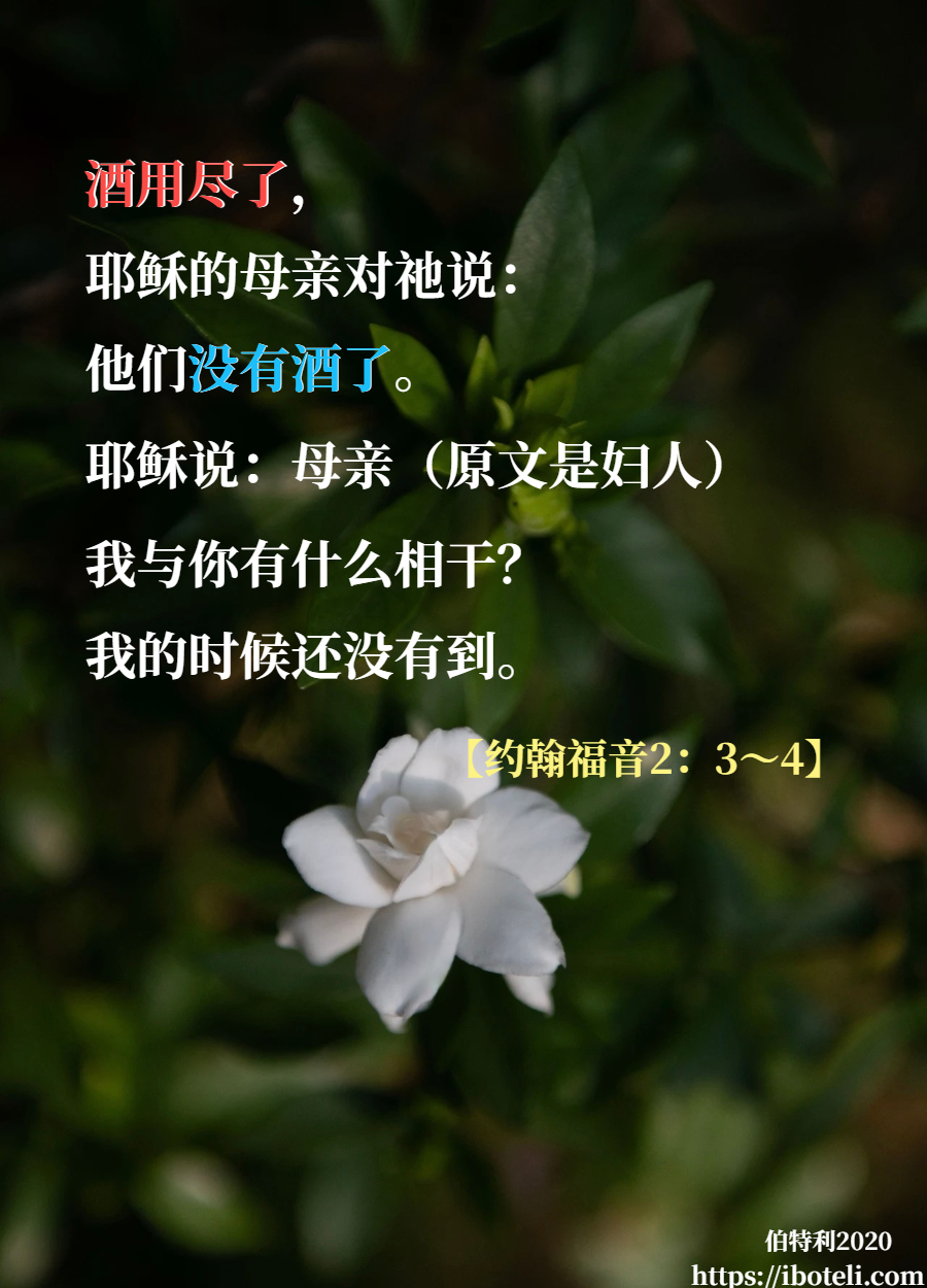 领会天父的心意（223） 祂能变水为酒！