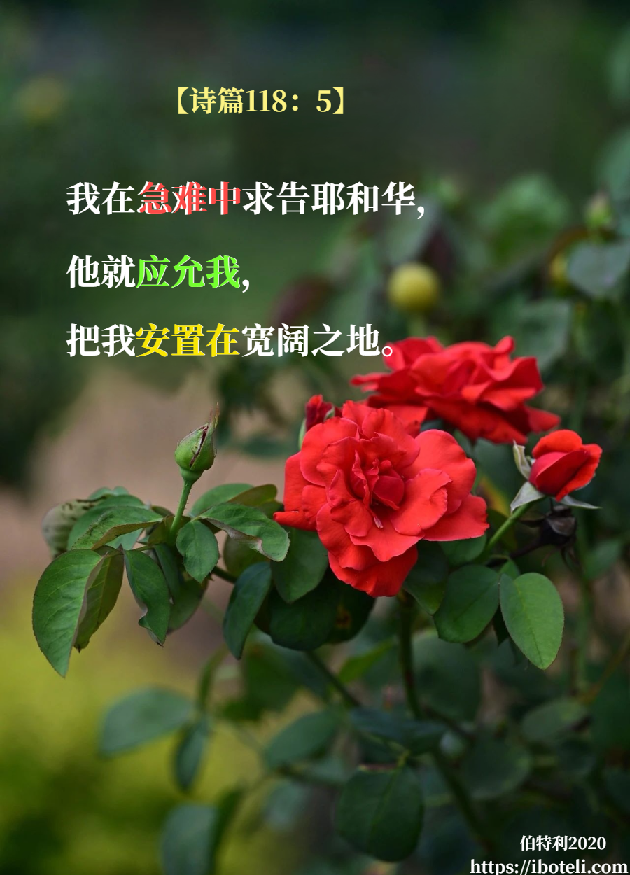 领会天父的心意（224） 引领我们进入宽阔之处