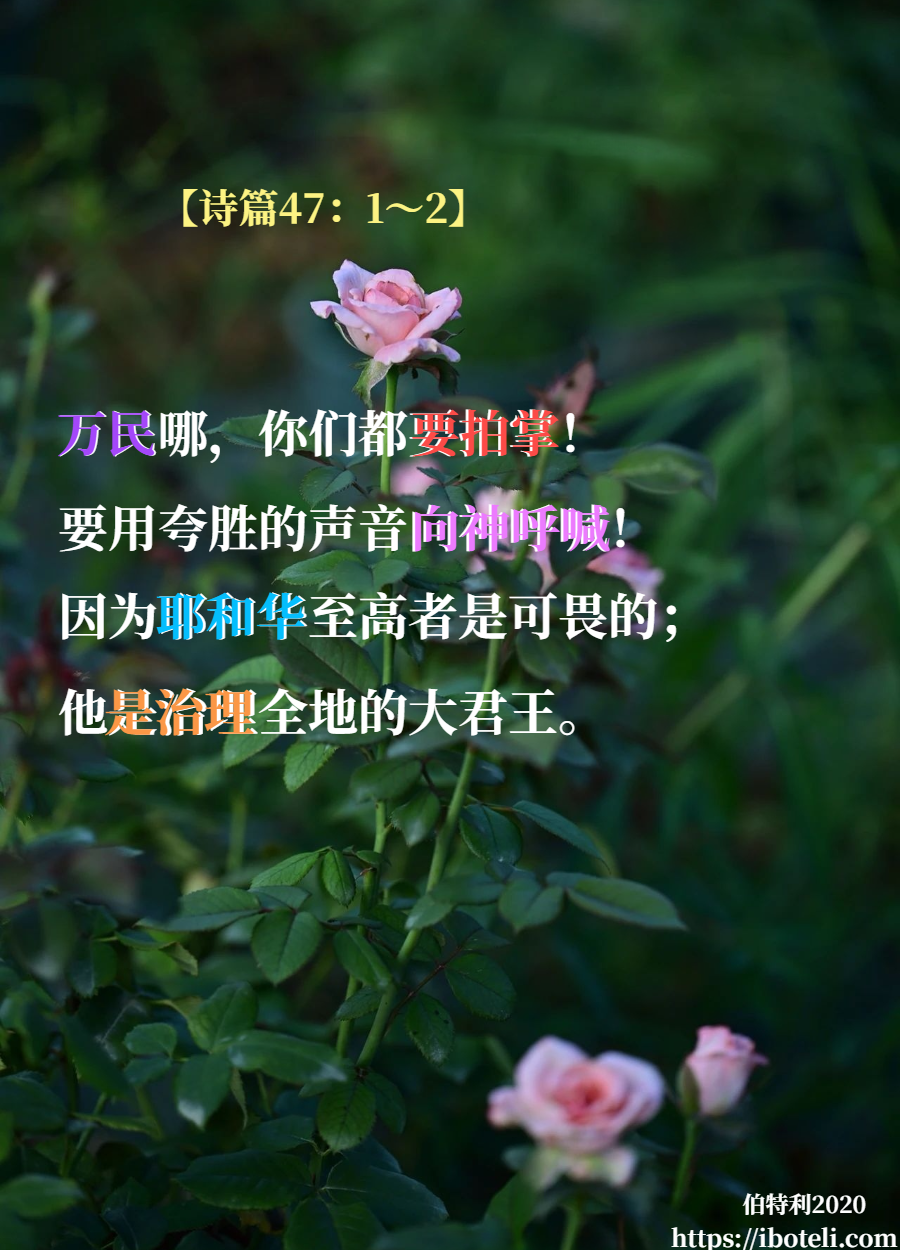 领会天父的心意（225） 祂是治理全地的大君王