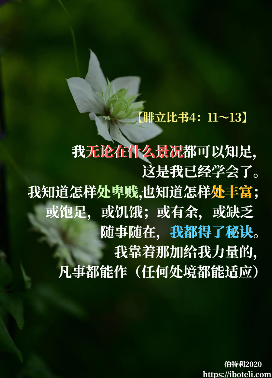 领会天父的心意（227） 选择知足，恩典够用
