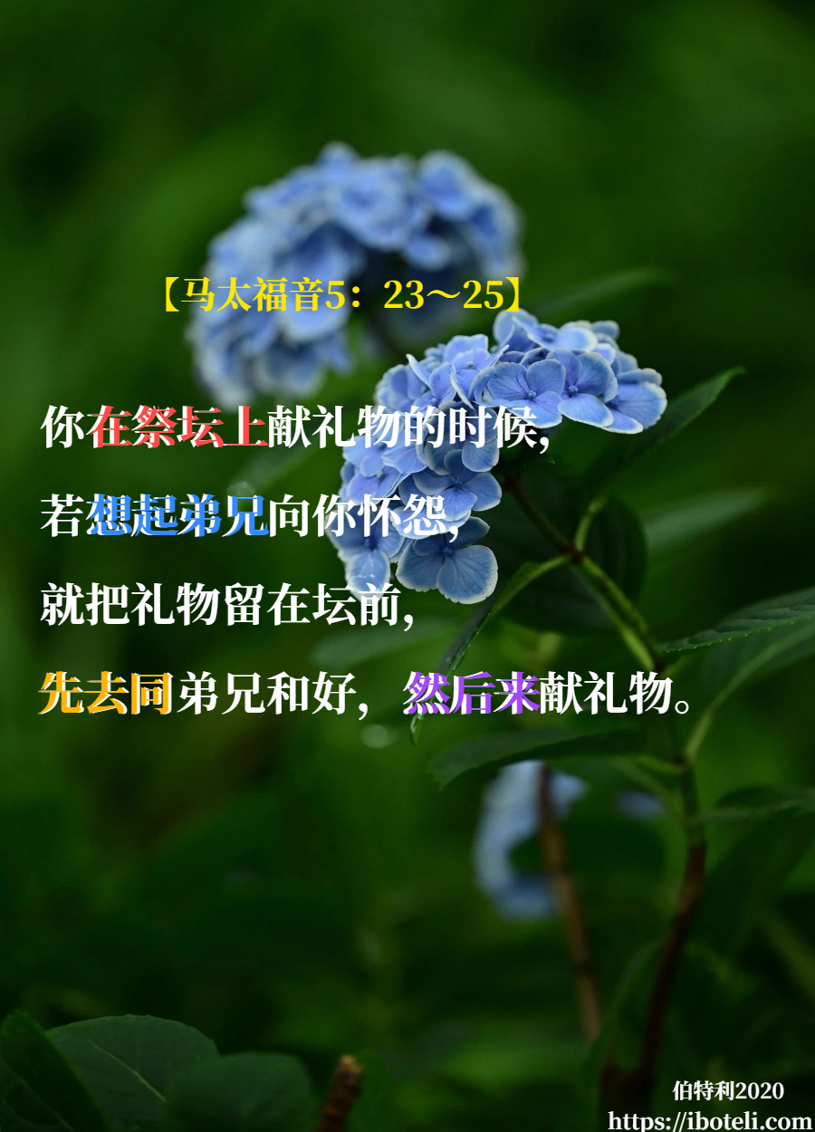 领会天父的心意（228） 向人道歉，向神呼求，大有果效