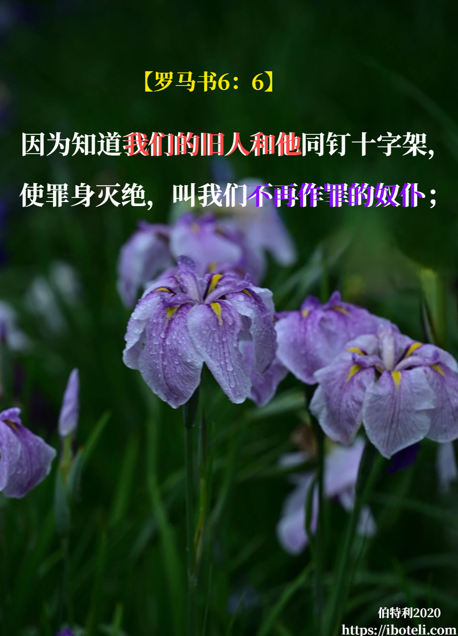 领会天父的心意（229） 不再作罪的奴仆