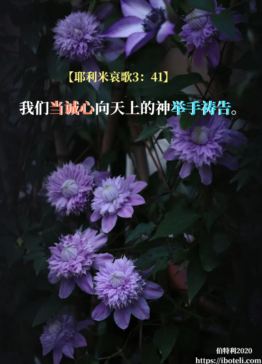 领会天父的心意（231） 来到施恩的宝座前