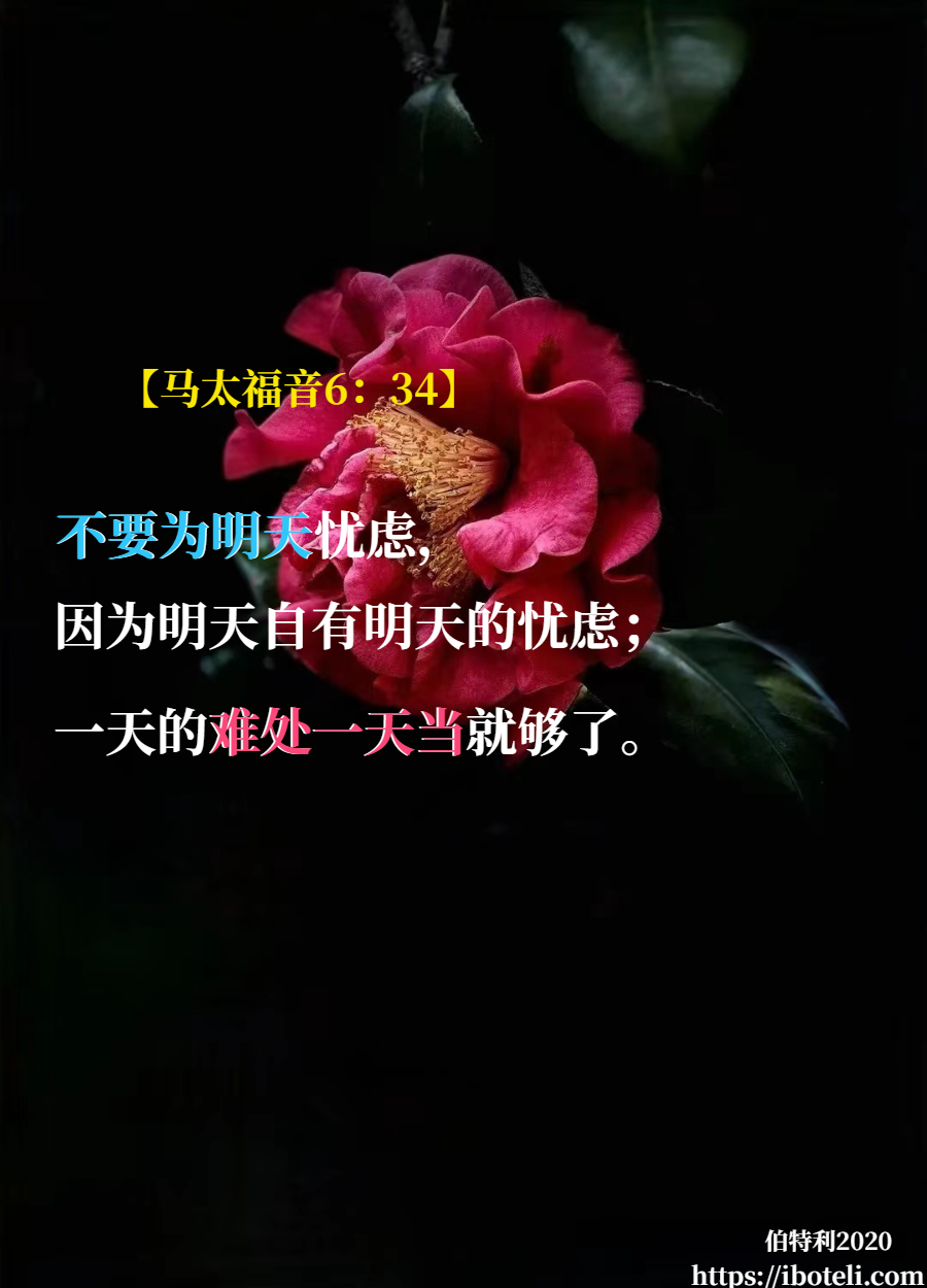 领会天父的心意（232） 不要为明天忧虑