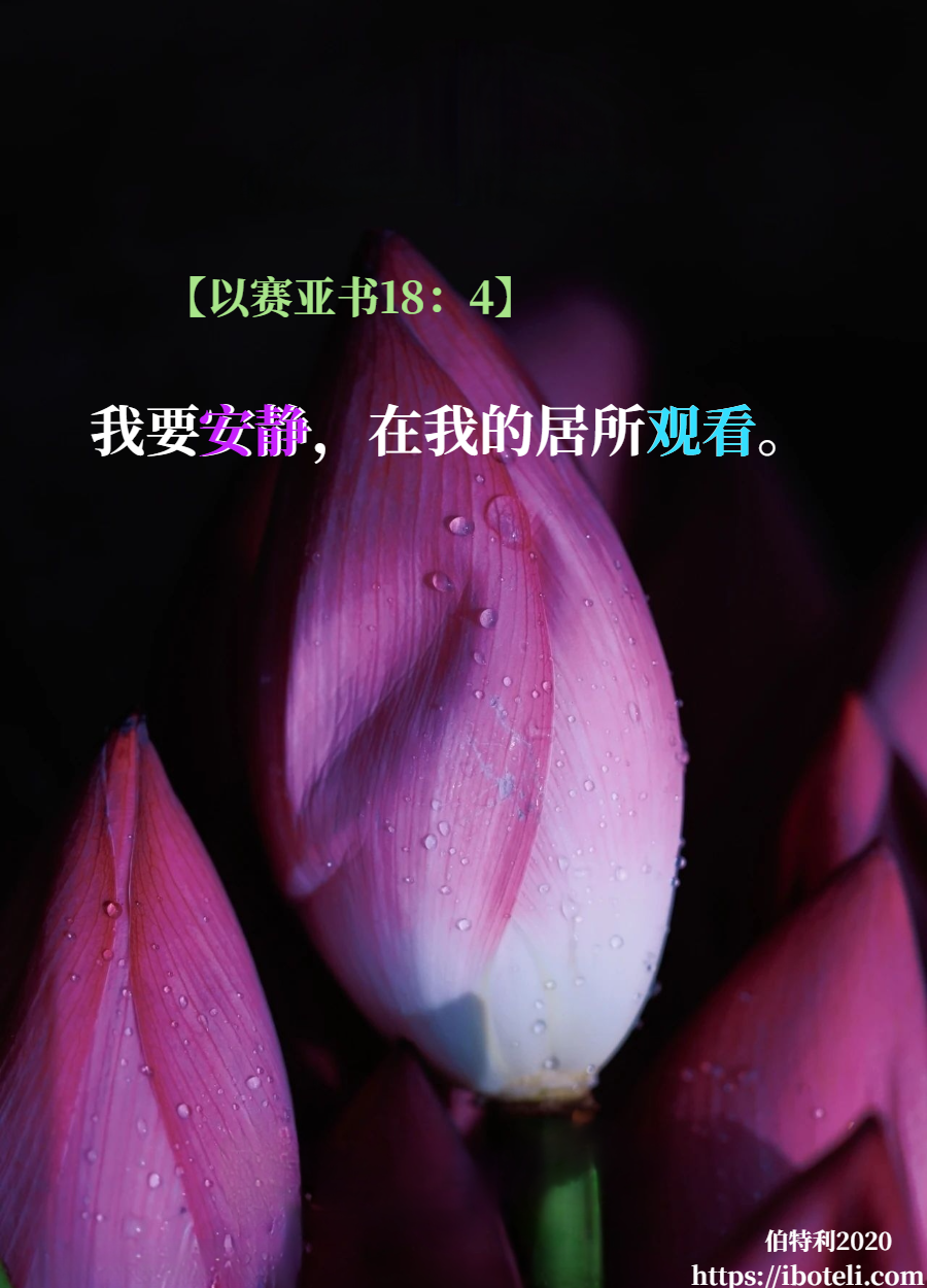 领会天父的心意（233） 祂在祂的居所观看