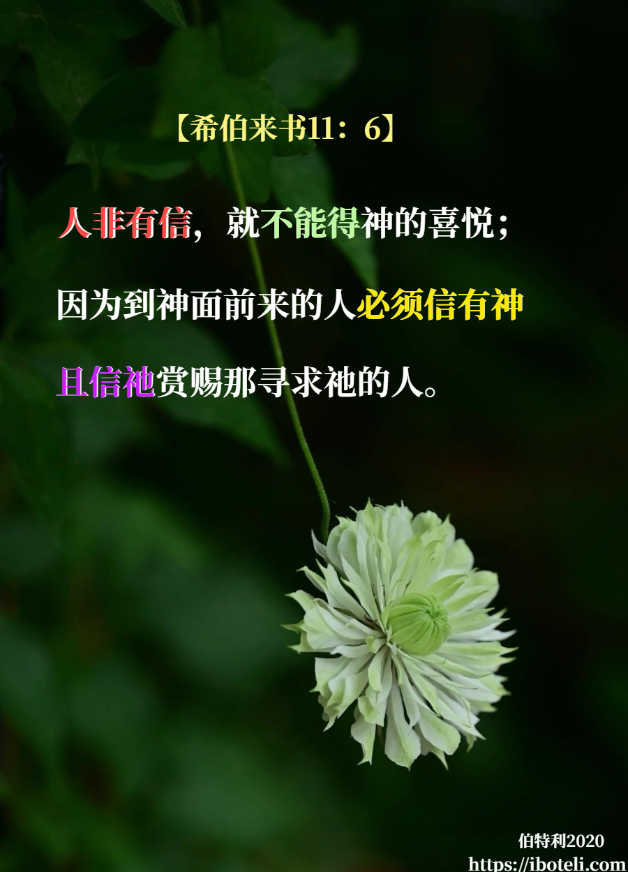 领会天父的心意（234） 仰望发怜悯的神