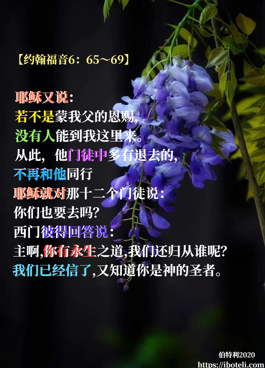 领会天父的心意（235） 与众不同，一心跟随