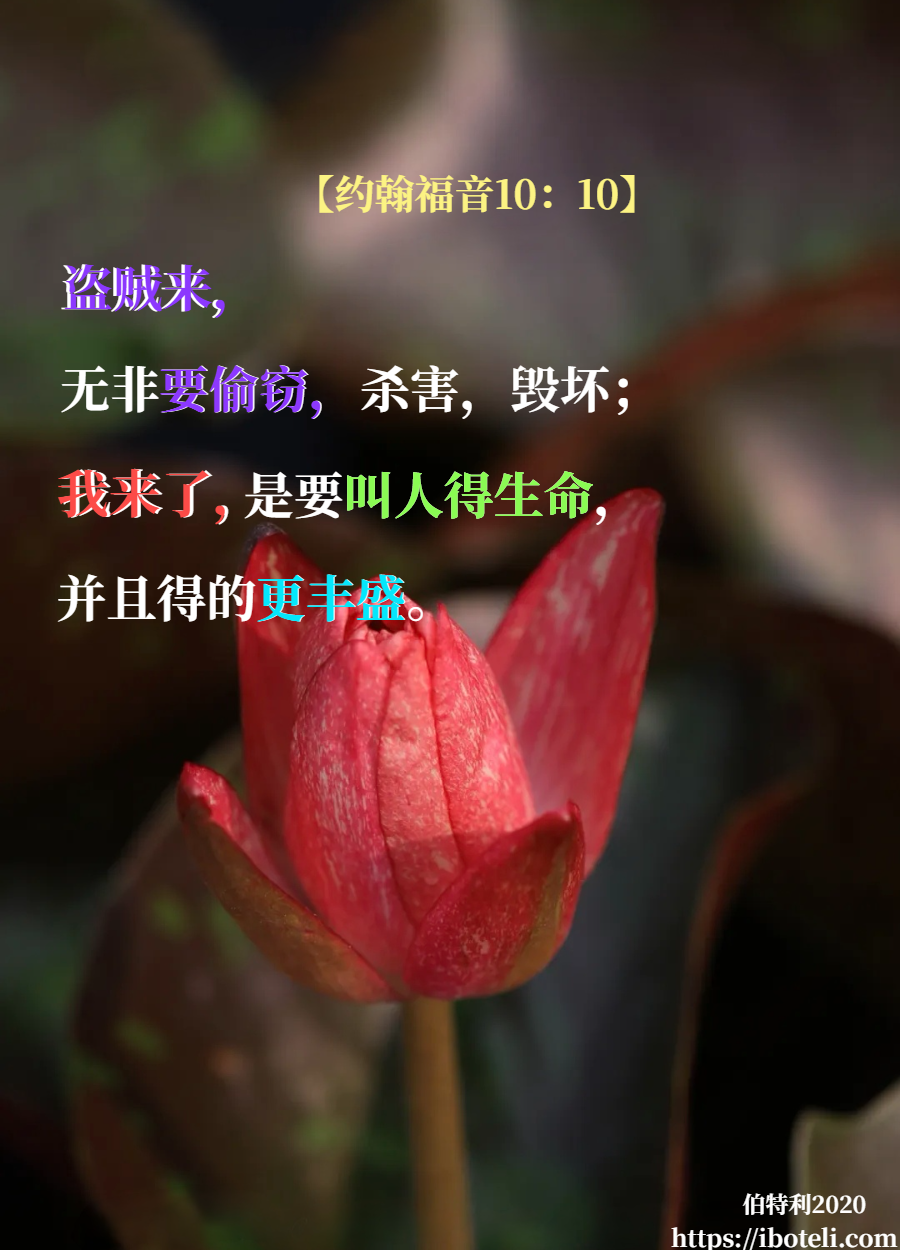 领会天父的心意（236） 两个国度：迥然不同