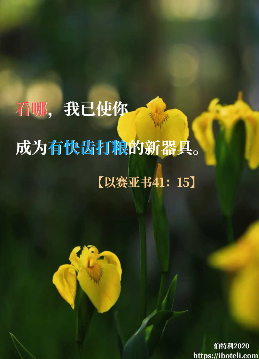 领会天父的心意（237） 神国度里的特种兵—深度被造就