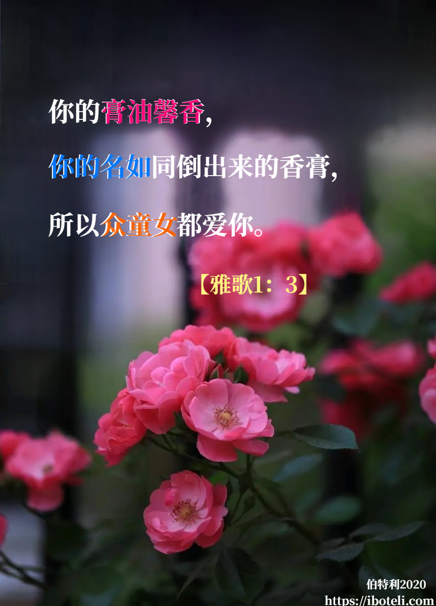 领会天父的心意（241） 膏油馨香，快跑跟随!