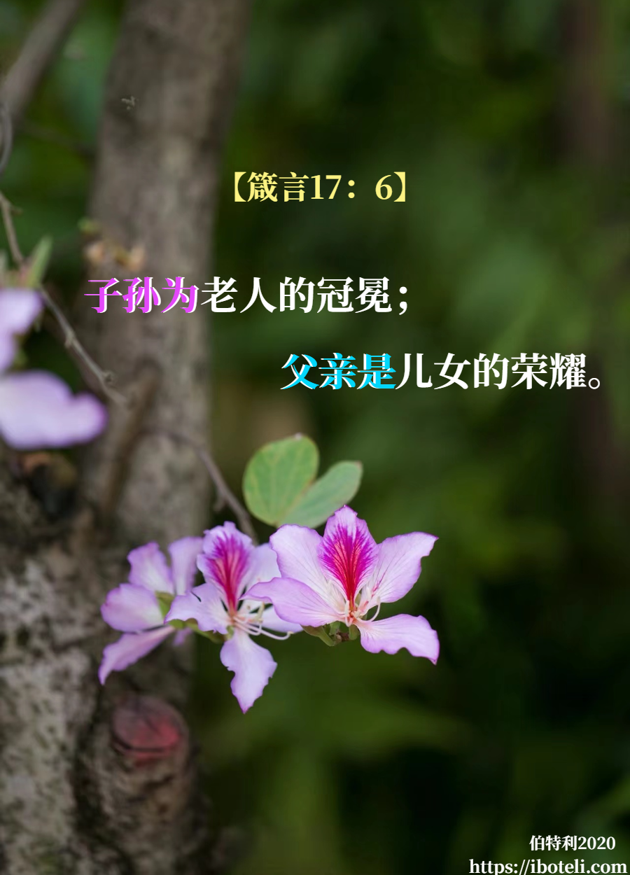 领会天父的心意（242）父亲是儿女的荣耀