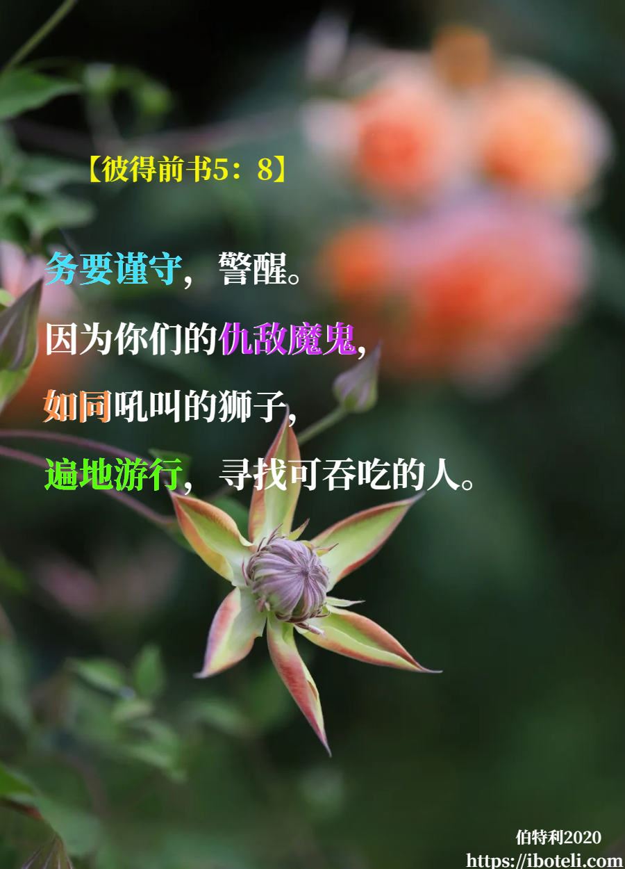 领会天父的心意（244） 持守机警的品格