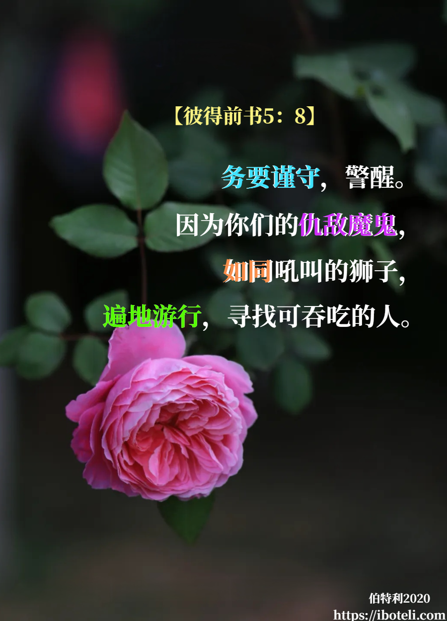 领会天父的心意（245） 务要谨守，警醒!  