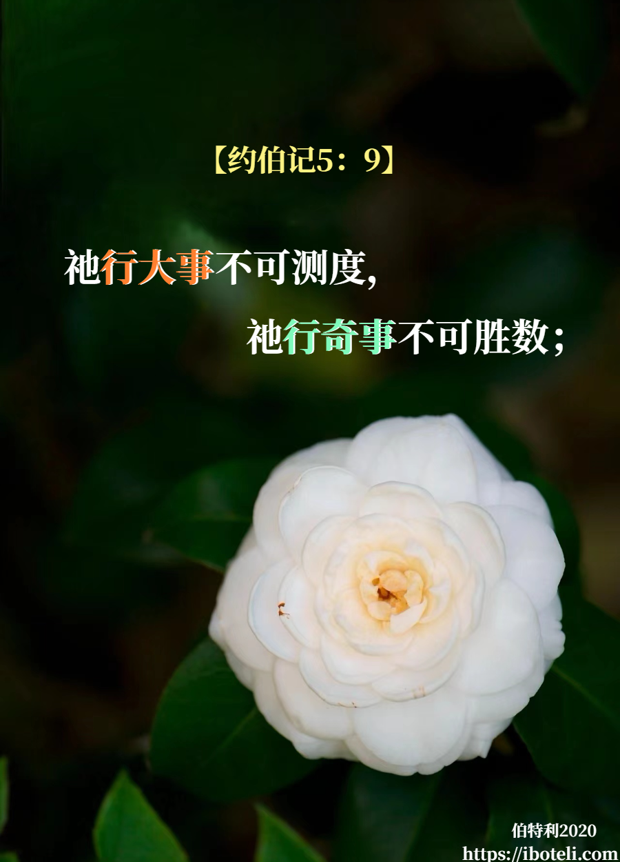 领会天父的心意（246） 祂随己意行作万事