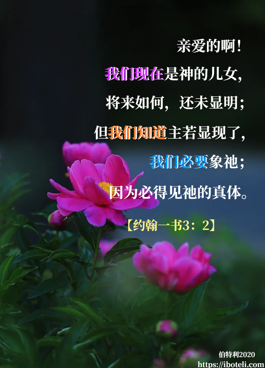 领会天父的心意（247） 成为神的儿女!