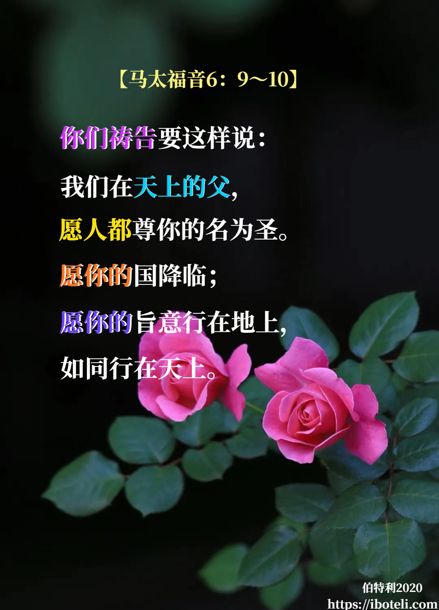 领会天父的心意（248） 尊主的名为圣