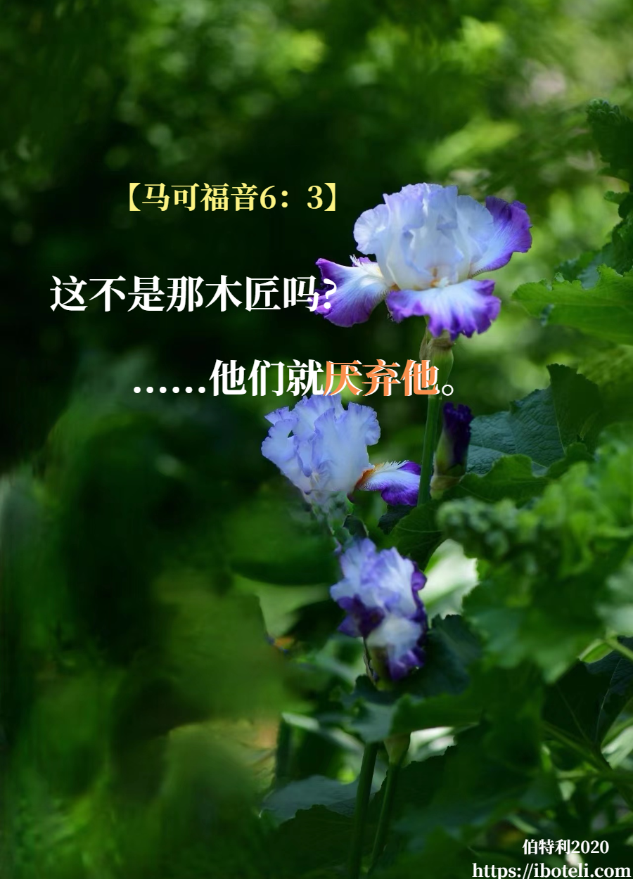领会天父的心意（249） 我们所侍奉的乃是主基督