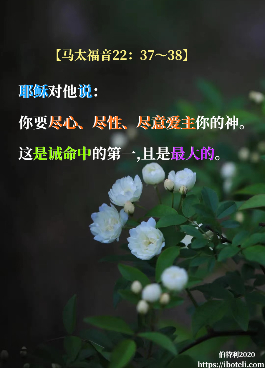 领会天父的心意（253） 尽心尽力爱神