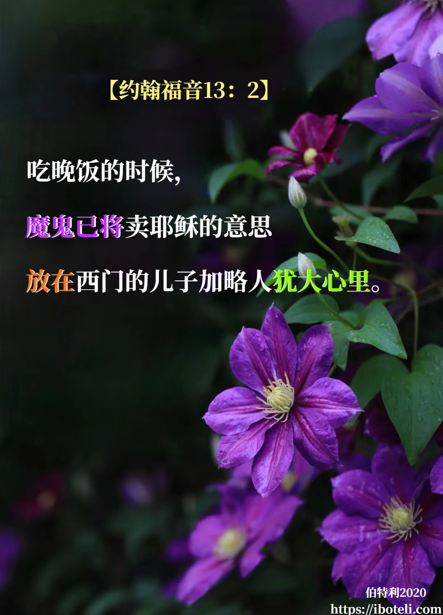 领会天父的心意（254） 真理使人得自由