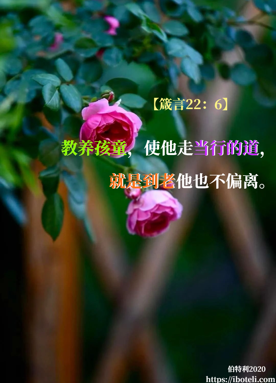 领会天父的心意（255） 教养孩童