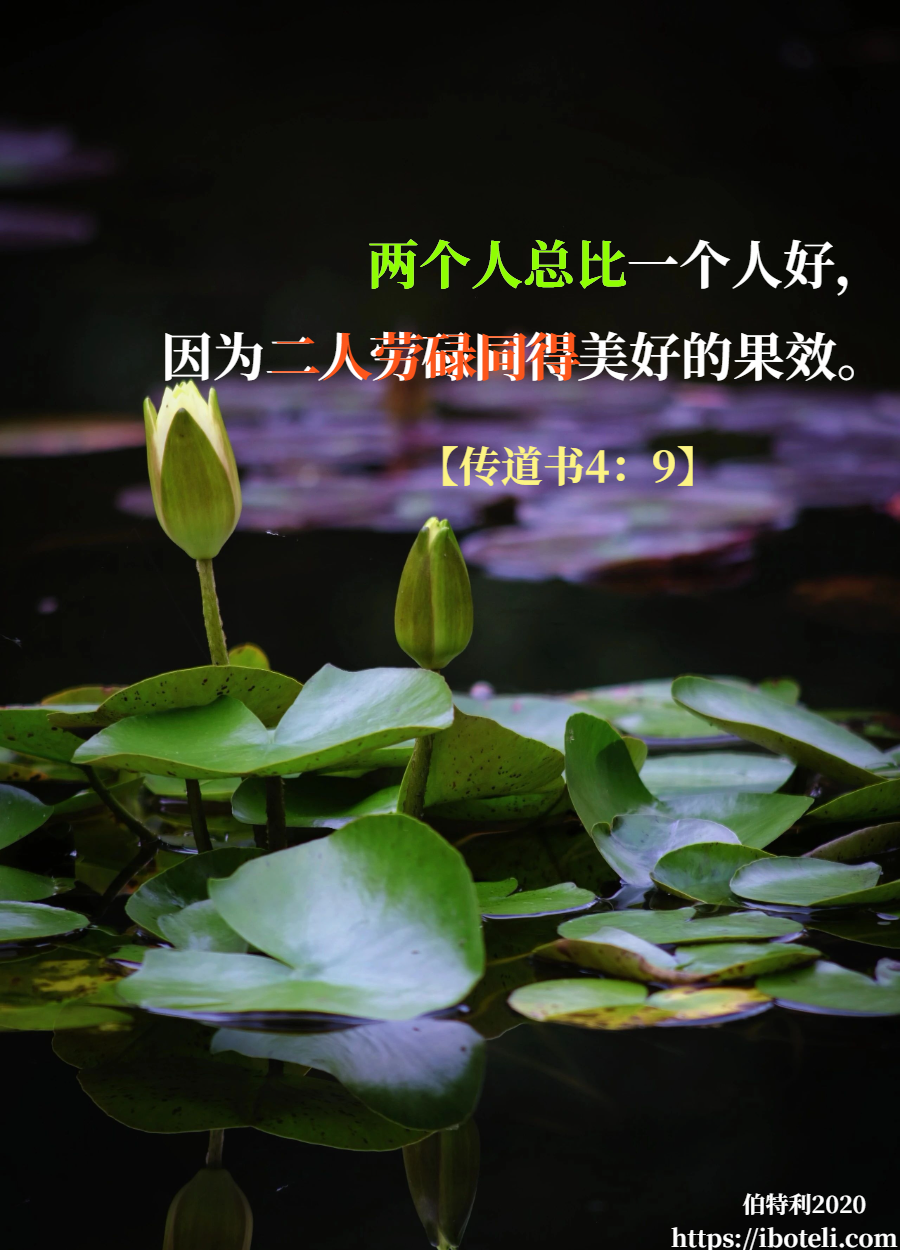 领会天父的心意（256） 婚姻是神所赐美好的祝福