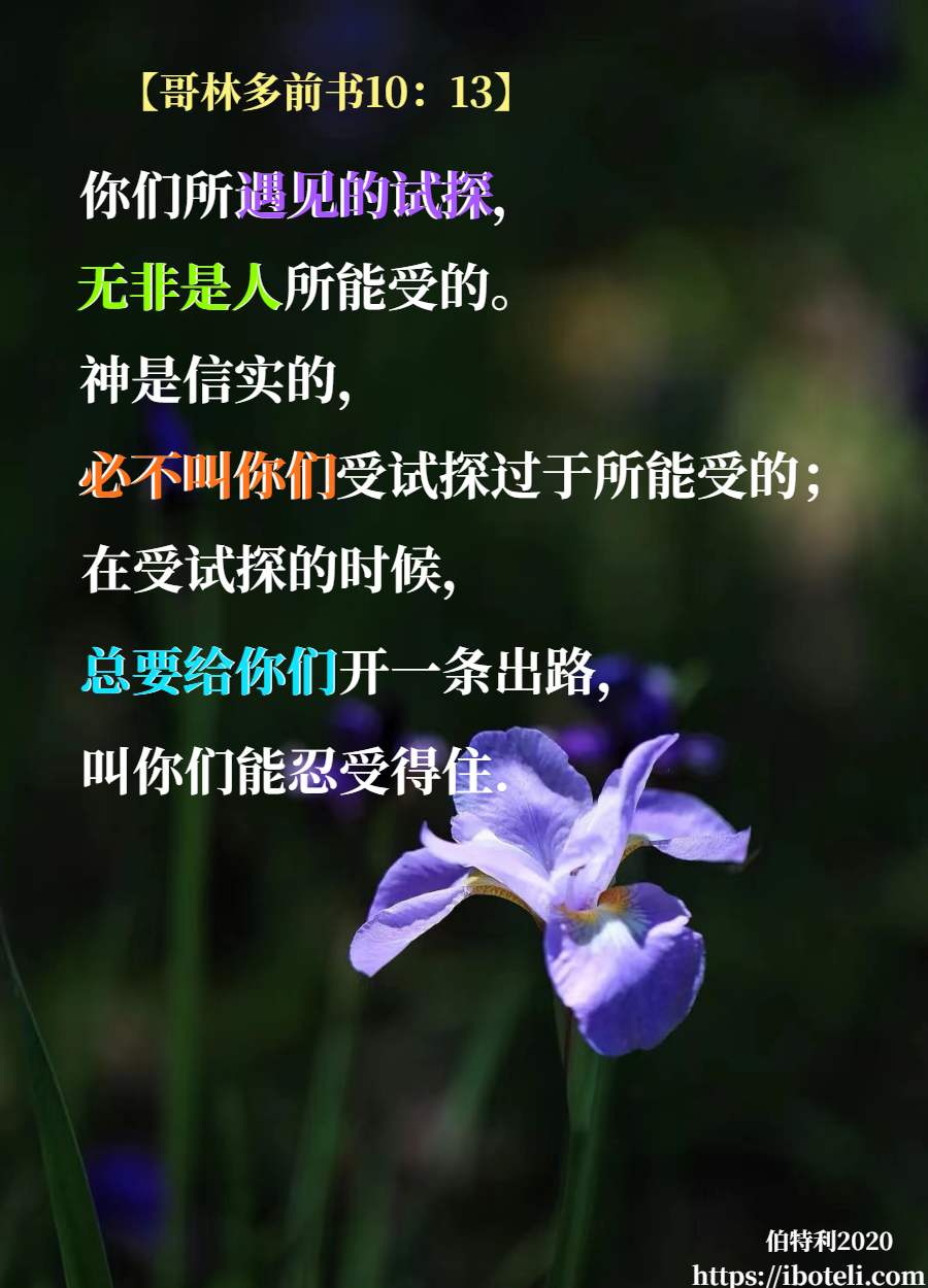 领会天父的心意（258） 绝处逢生，神开出路