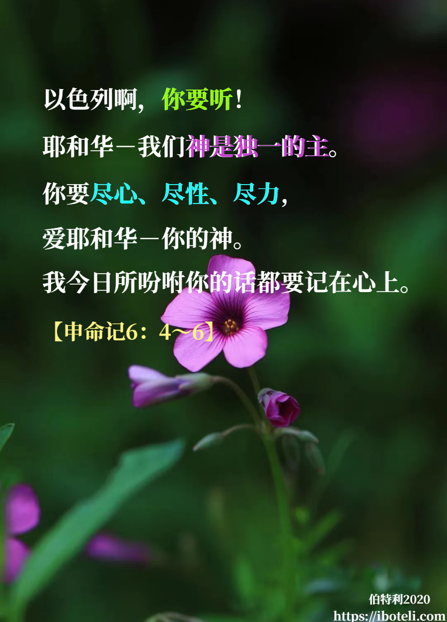 领会天父的心意（259） 成为榜样，殷勤教导