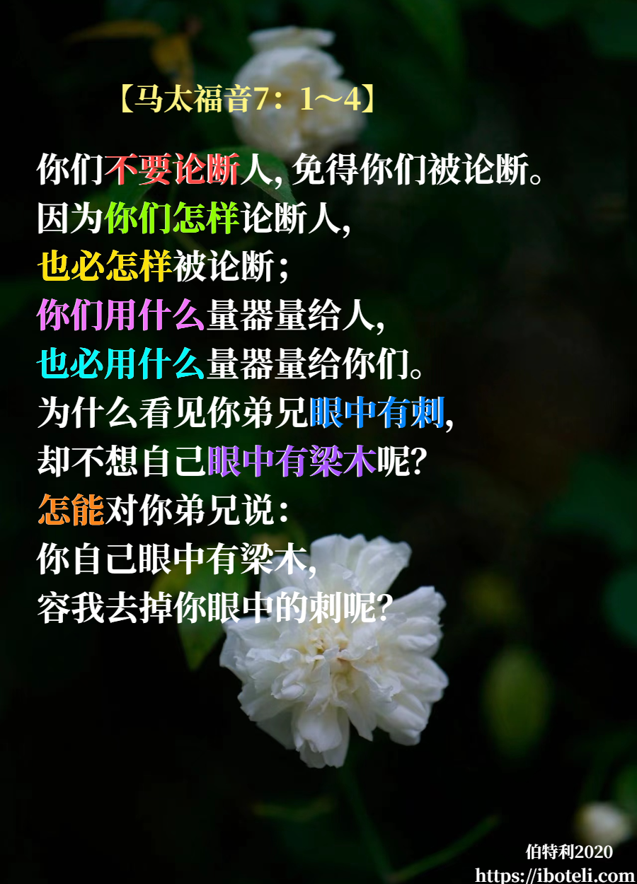 领会天父的心意（260） 不要论断人！必须分析事！
