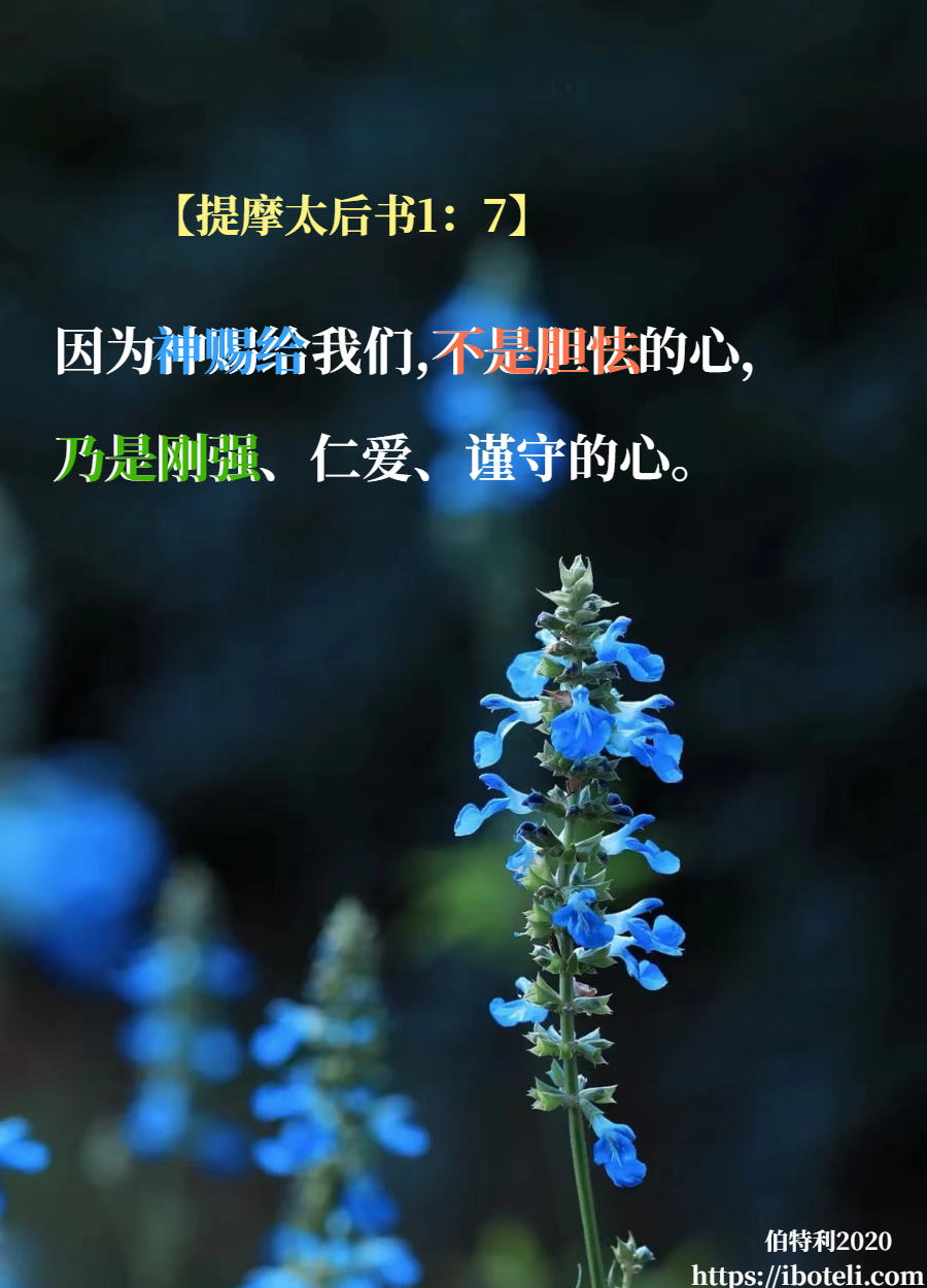 领会天父的心意（263） 弃绝胆怯，刚强谨守