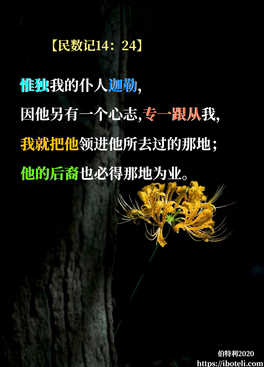 领会天父的心意（265） 另有心志，专一跟从