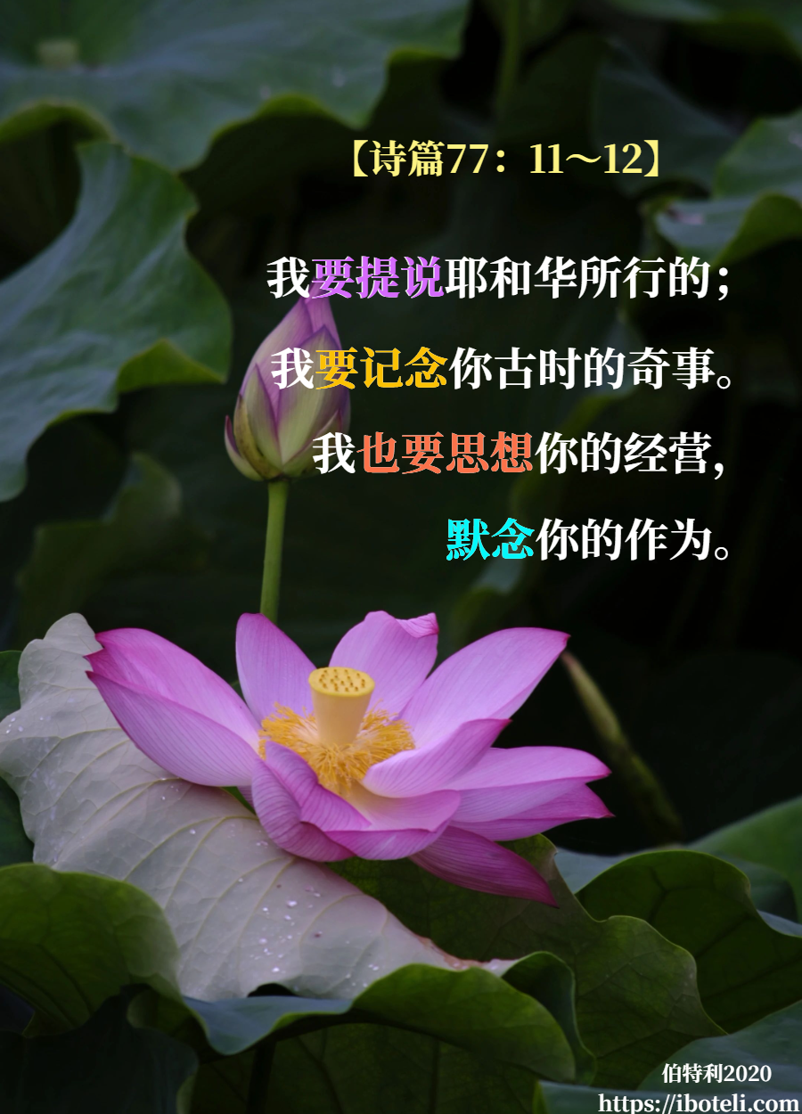 领会天父的心意（270） 思想祂的经营，默念祂的作为