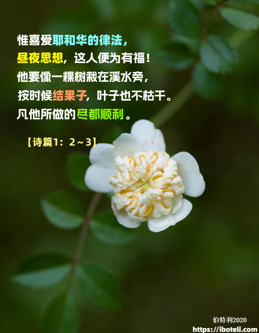 领会天父的心意（270） 思想祂的经营，默念祂的作为