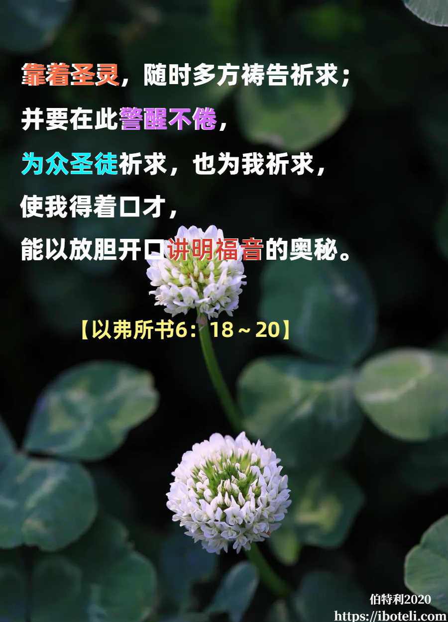 领会天父的心意（271） 为众圣徒祈求，为牧者祈求