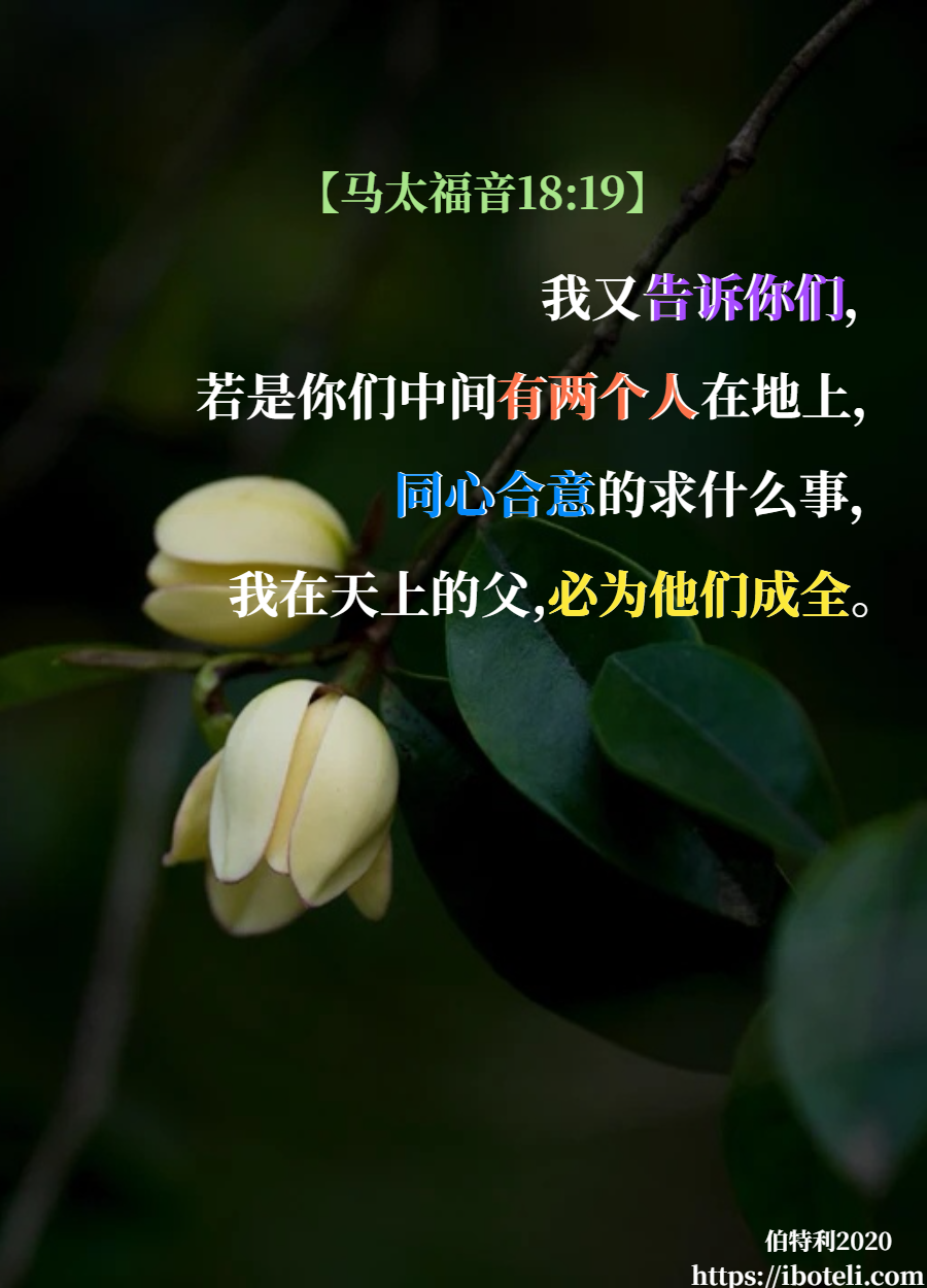 领会天父的心意（274） 同心祷告，大有能力