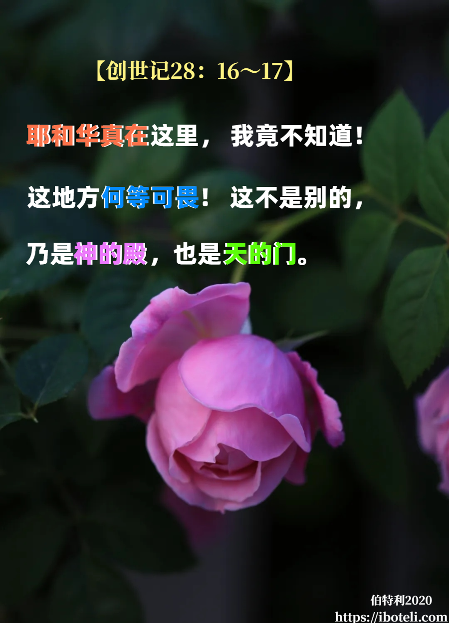 领会天父的心意（278） 单单仰望主