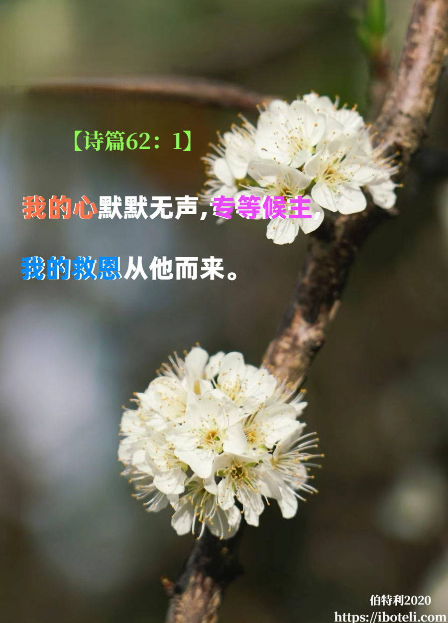 领会天父的心意（279） 学习安静，学习等候