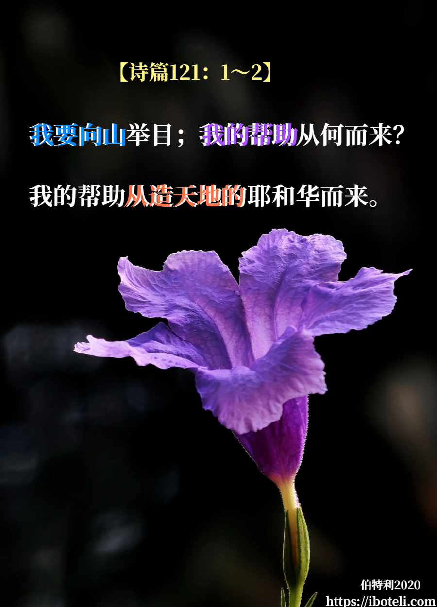 领会天父的心意（284） 向山举目，唯主是靠