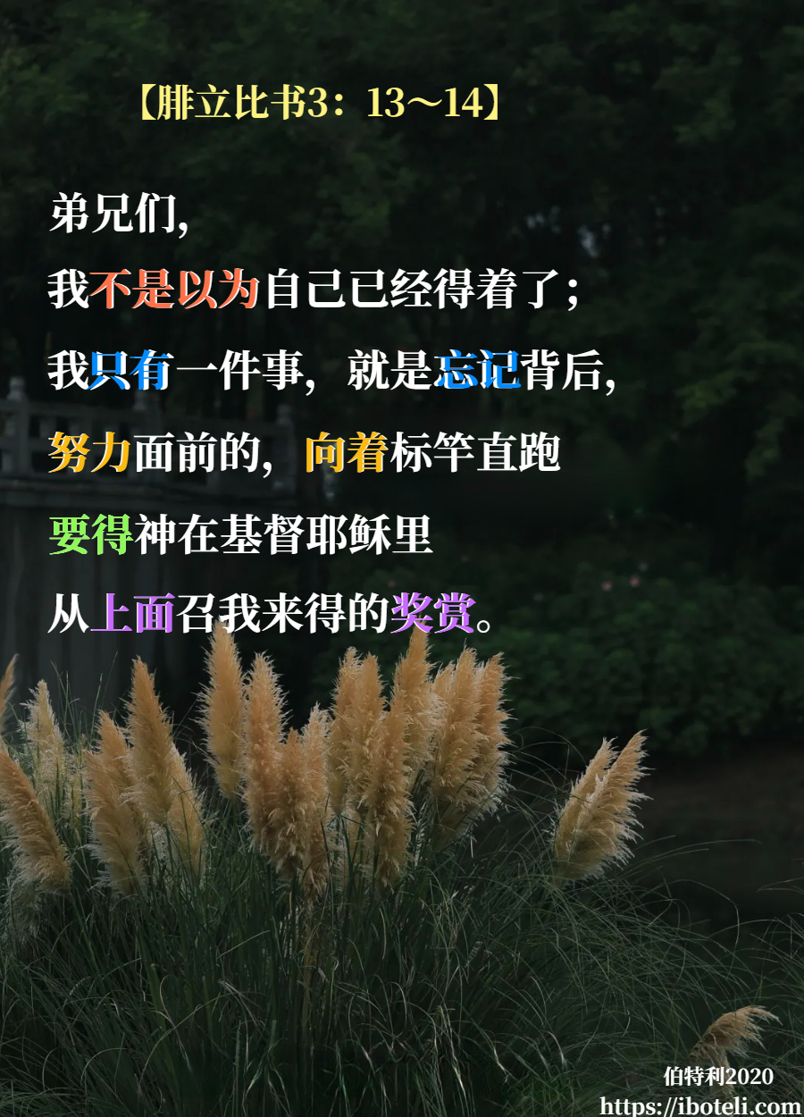 领会天父的心意（285） 忘记背后，努力面前!