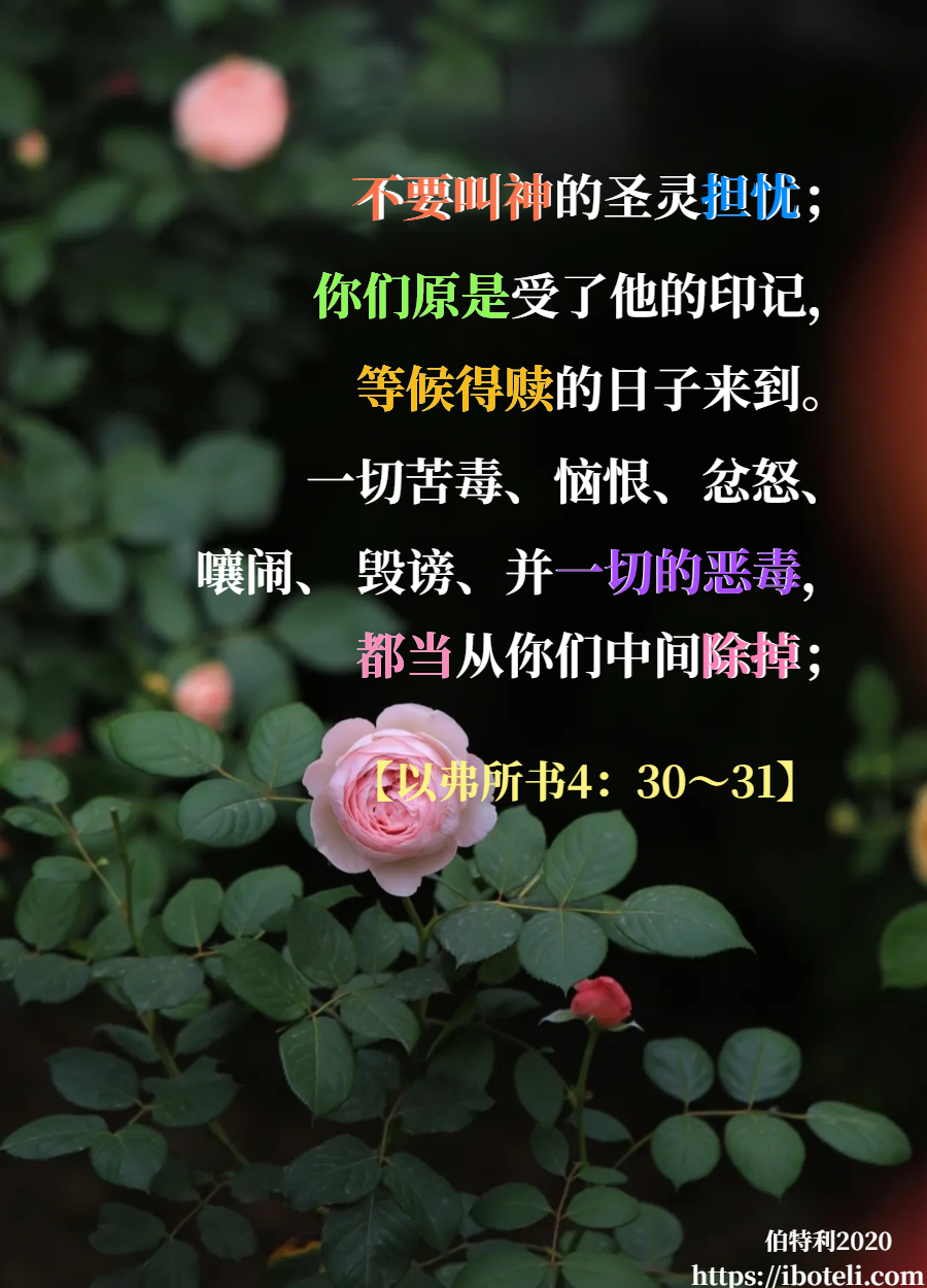 领会天父的心意（288） 弃绝苦毒，带来安舒