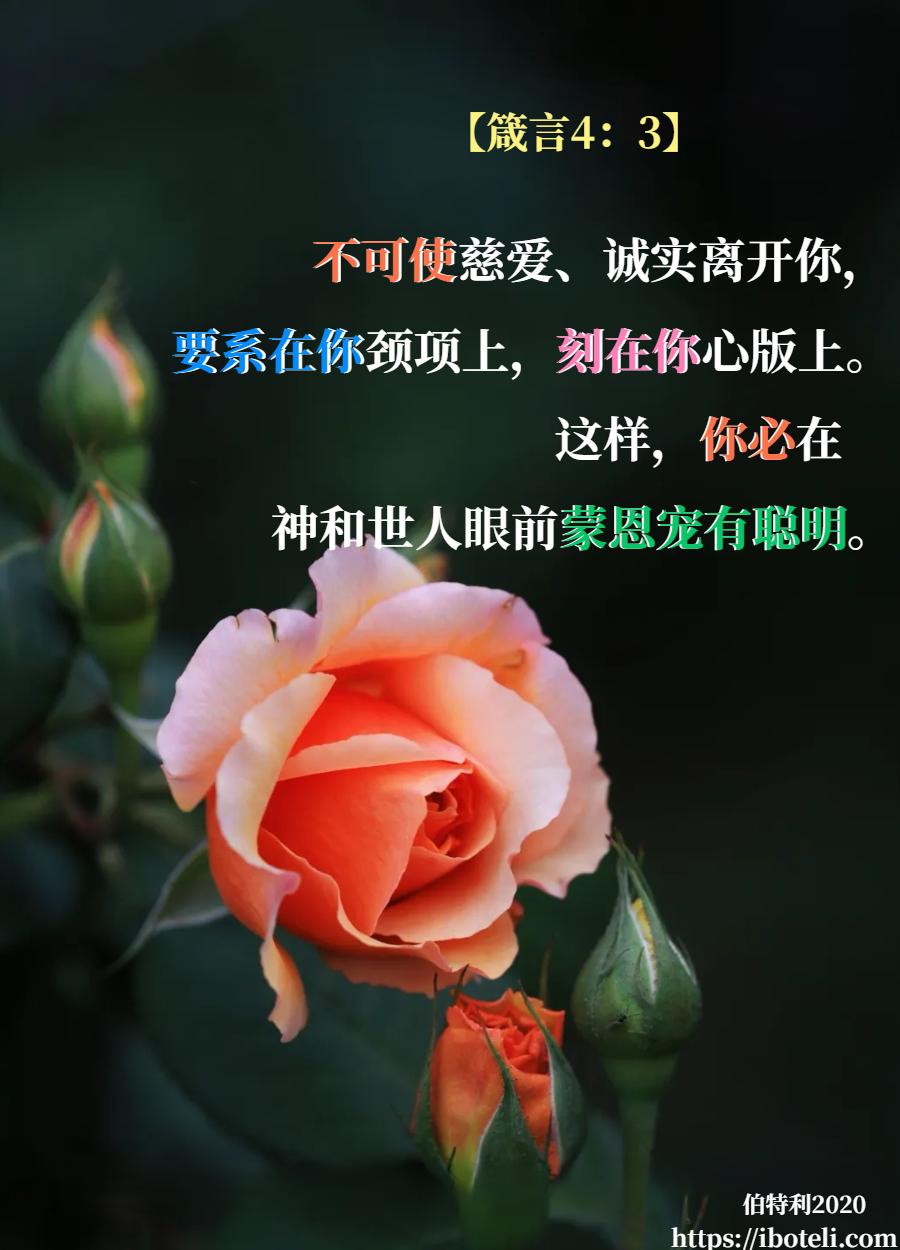 领会天父的心意（290） 活出慈爱和诚实