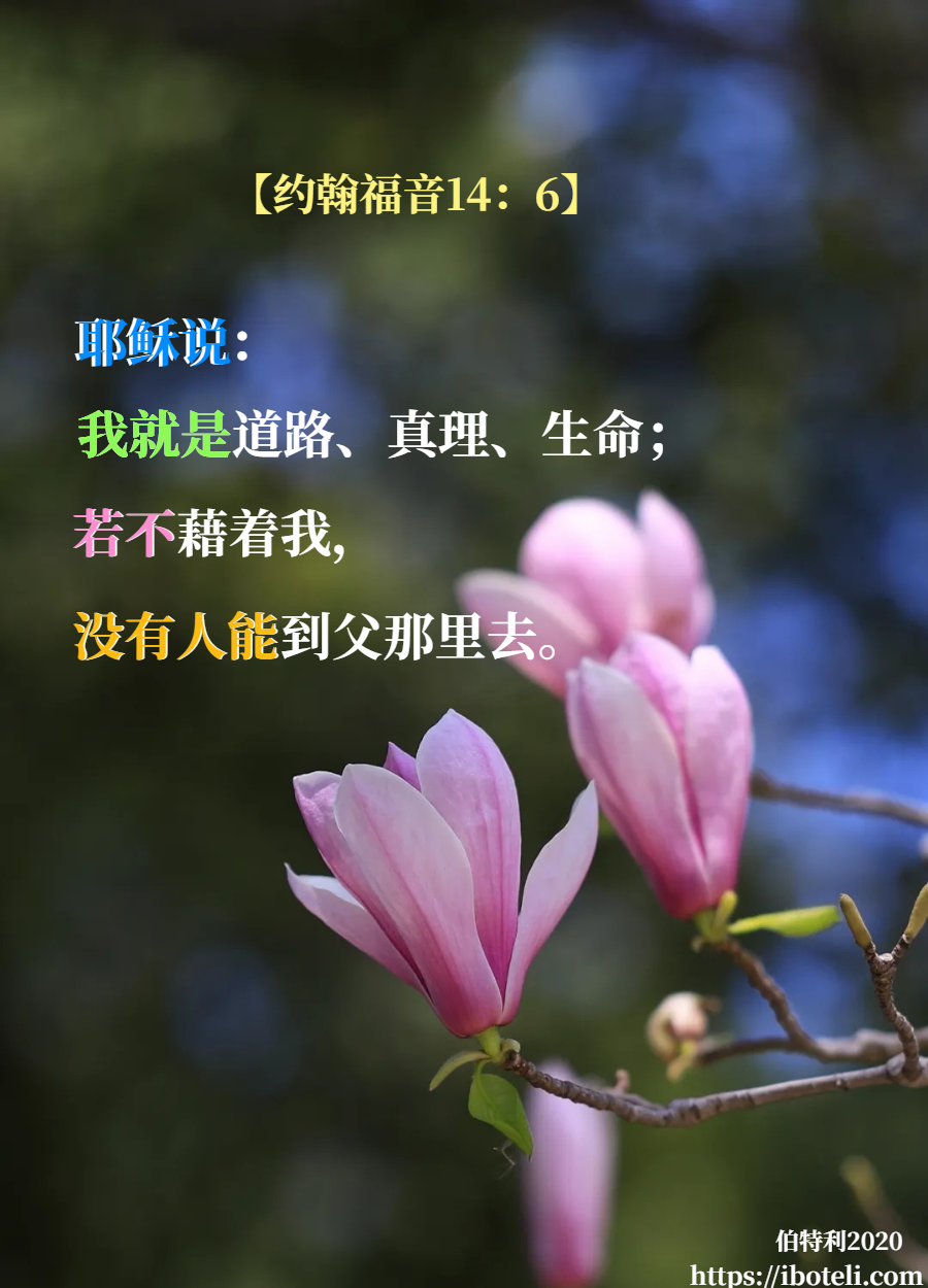 领会天父的心意（302） 千万別跑错道