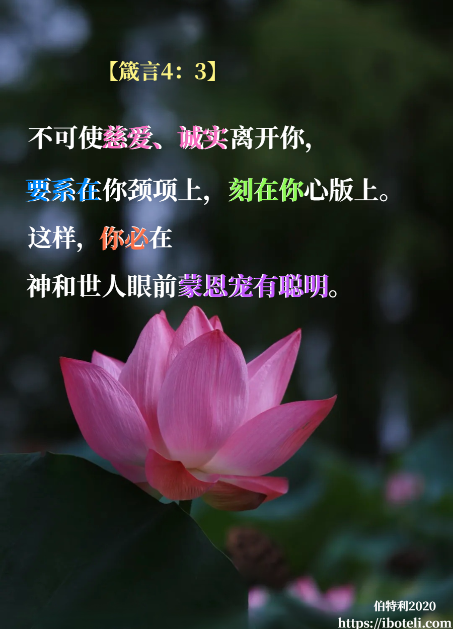 领会天父的心意（304） 蒙恩宠，有聪明