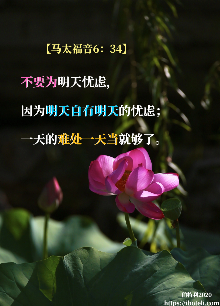 领会天父的心意（306） 活好每一天
