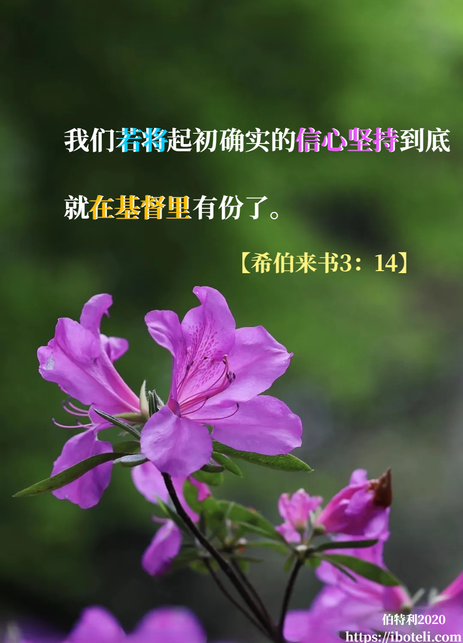 领会天父的心意（307） 信心持守到底