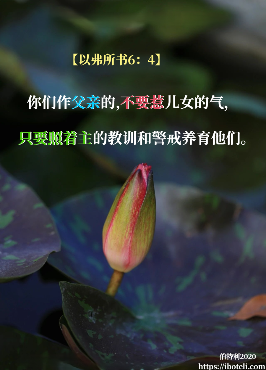 领会天父的心意（311） 子女心，父母情