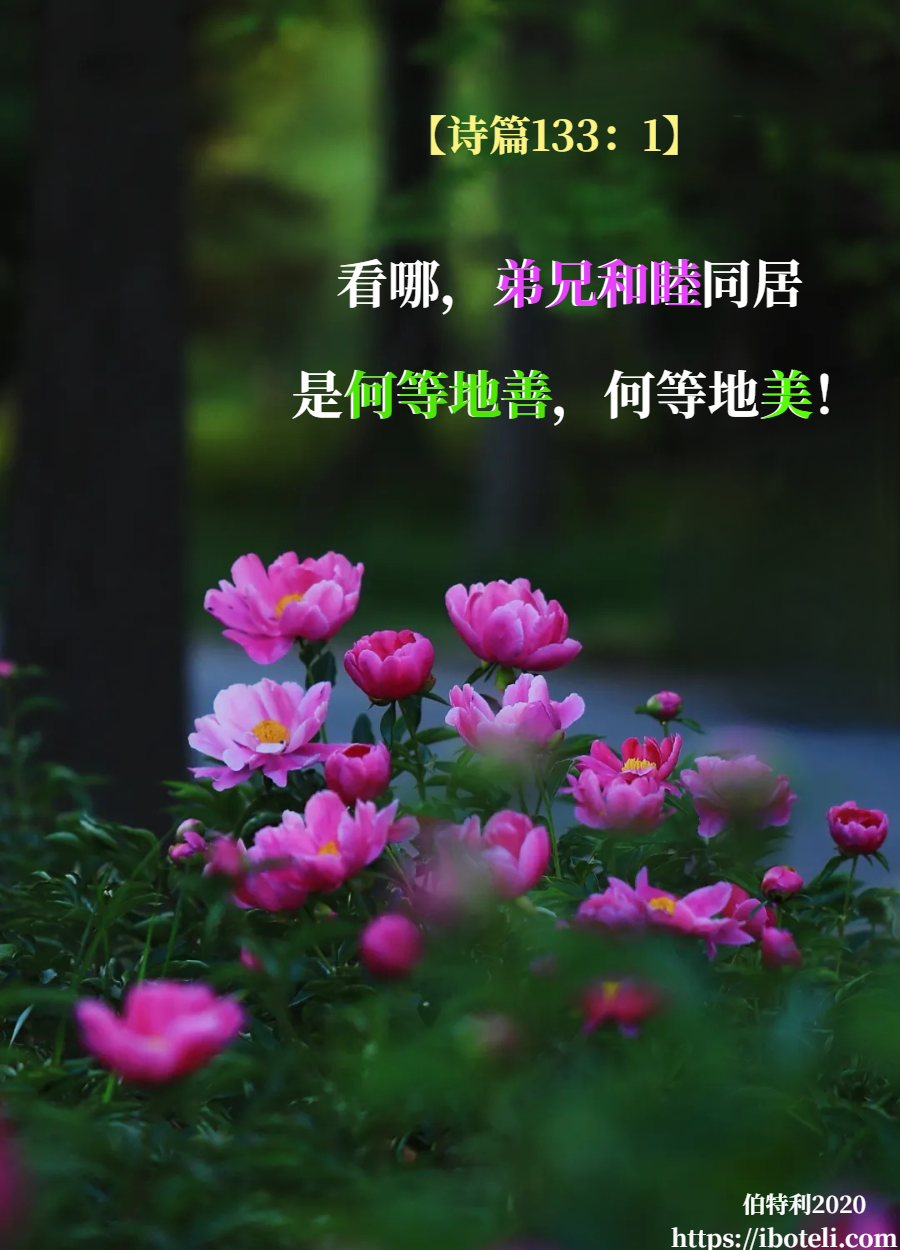 领会天父的心意（312） 和睦同居，何等美好